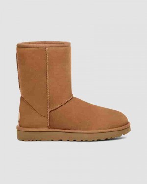 Brown Men UGG Classic Short Boots | AUH8617A