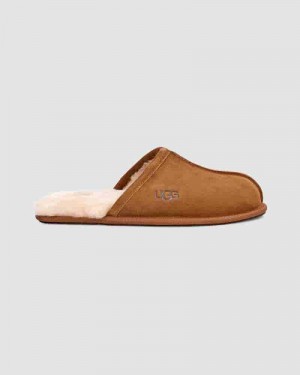 Brown Men UGG Scuff Slippers | AUT8585C