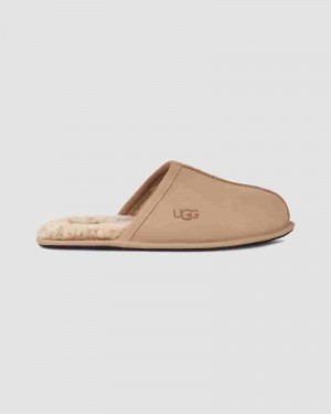 Brown Men UGG Scuff Slippers | AUW8582N