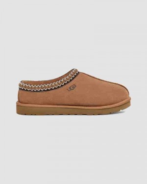 Brown Men UGG Tasman Slippers | AUW8579N