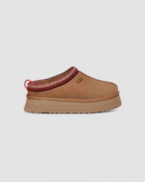 Coffee Women UGG Tazz Slippers | AUA8674H